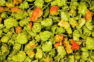 《巫师3》官方MOD编辑器REDkit现已开放抢先体验 